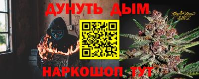 гидра Бердск