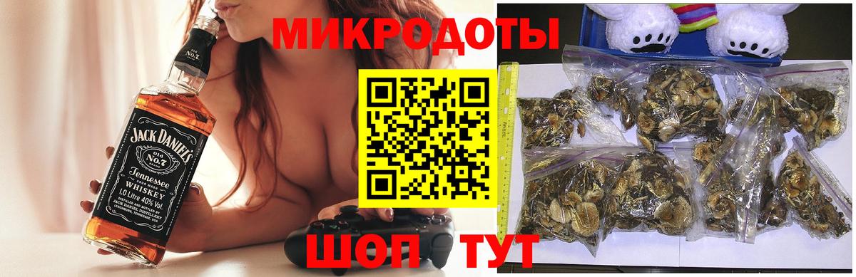 Галлюциногенные грибы Psilocybe Белая Калитва